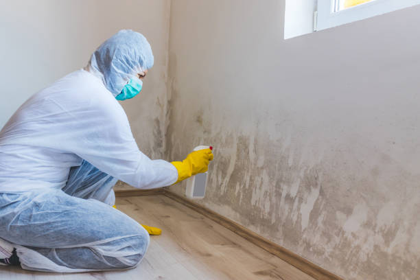 Mold Remediation specialist working in Saint Paul